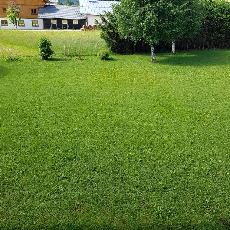 Apartment Dachsteinblick Bad Aussee Exterior photo